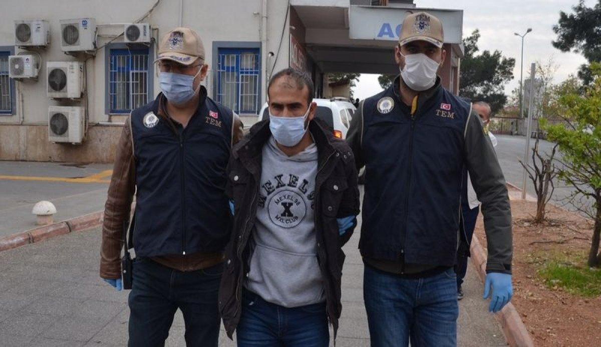 HDP, PKK'lı teröristi ilçe başkanı yaptı