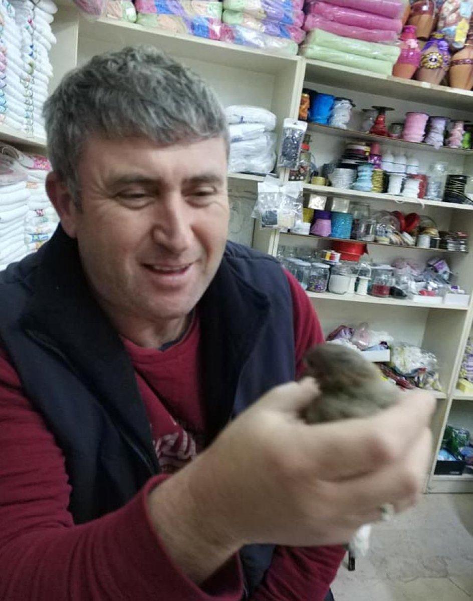 Bilecik’te eşini yaralayıp kayınpederini öldüren zanlı: Çok pişmanım