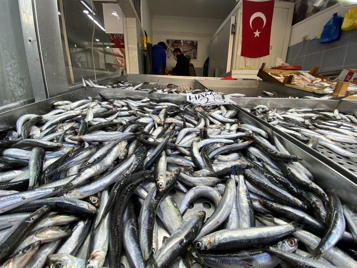 Düzce'de hamsi fiyatları 20 liraya kadar geriledi