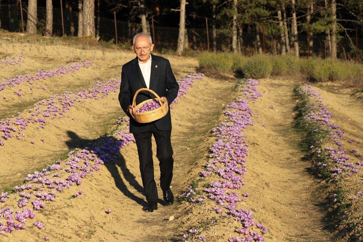 Kılıçdaroğlu: Mafya babasına sahip çıkılıyorsa, burada bir demokrasi sorunu vardır