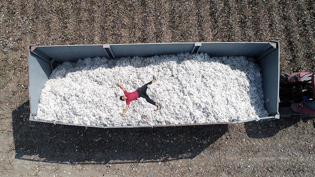 Dünya pamuk fiyatları yükseldi