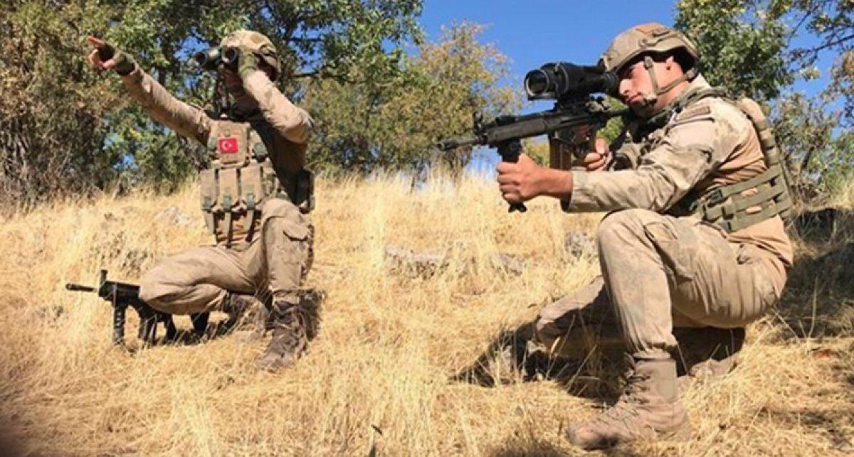 2 PKK'lı daha dağdan inip teslim oldu