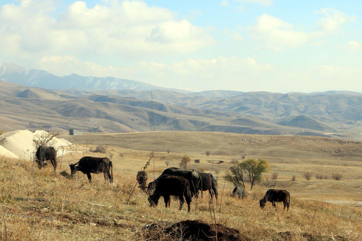 Destekle başladığı mandacılıkta siparişlere yetişemiyor