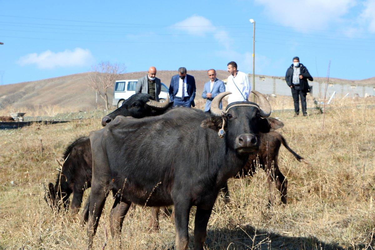 Destekle başladığı mandacılıkta siparişlere yetişemiyor