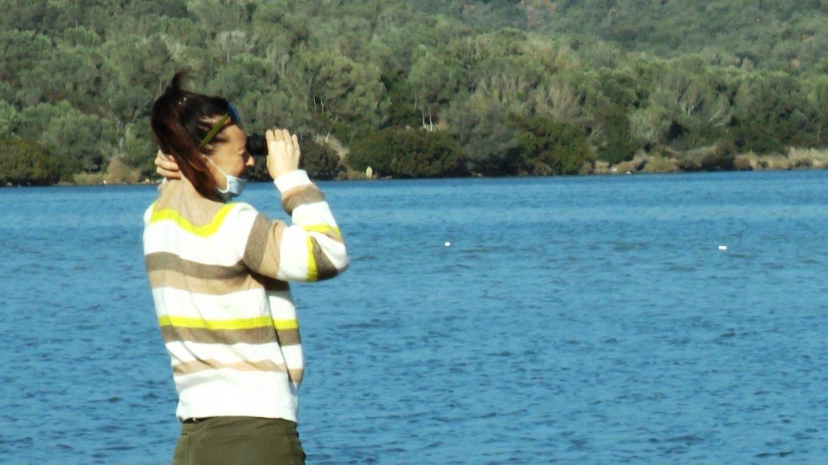 Flamingolar Bodrum’a çok erken geldi