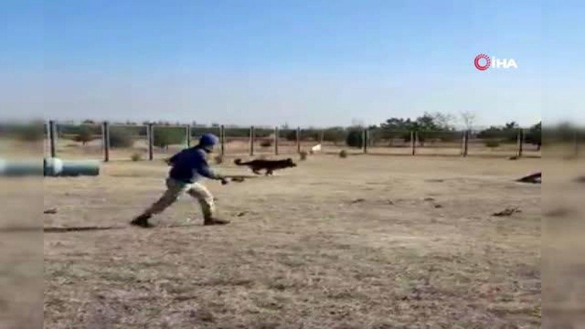 MSB’den 'Onlar bizim can dostumuz' paylaşımı