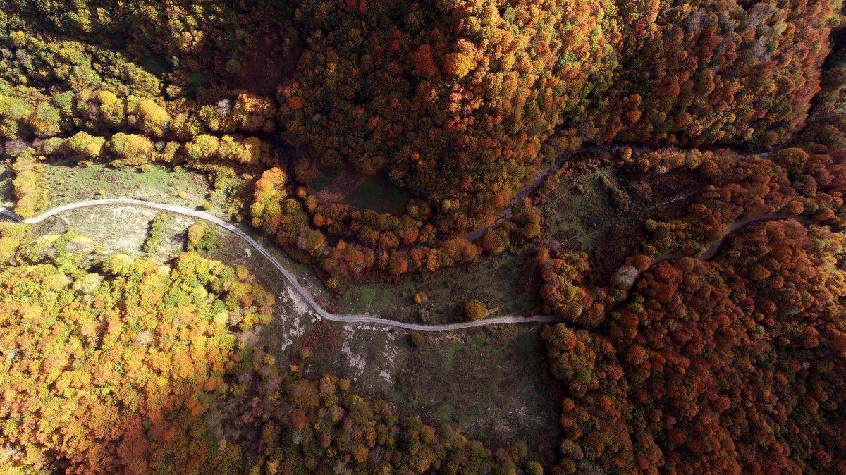 Zonguldak'taki tarihi su hattında sonbahar güzelliği