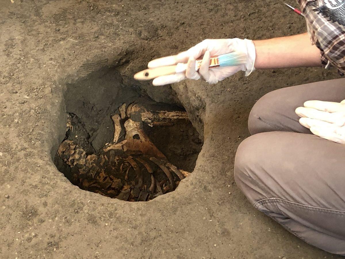 Pompeii'de efendi ve kölesinin kalıntıları bulundu