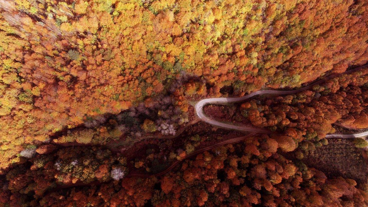 Zonguldak'taki tarihi su hattında sonbahar güzelliği