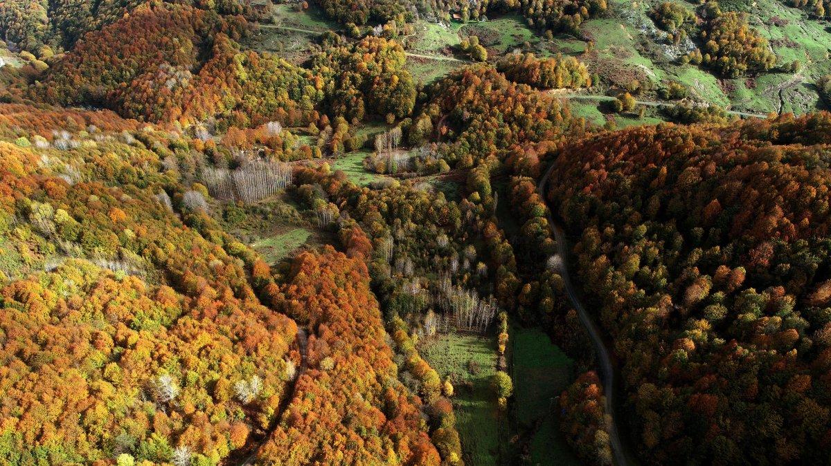 Zonguldak'taki tarihi su hattında sonbahar güzelliği