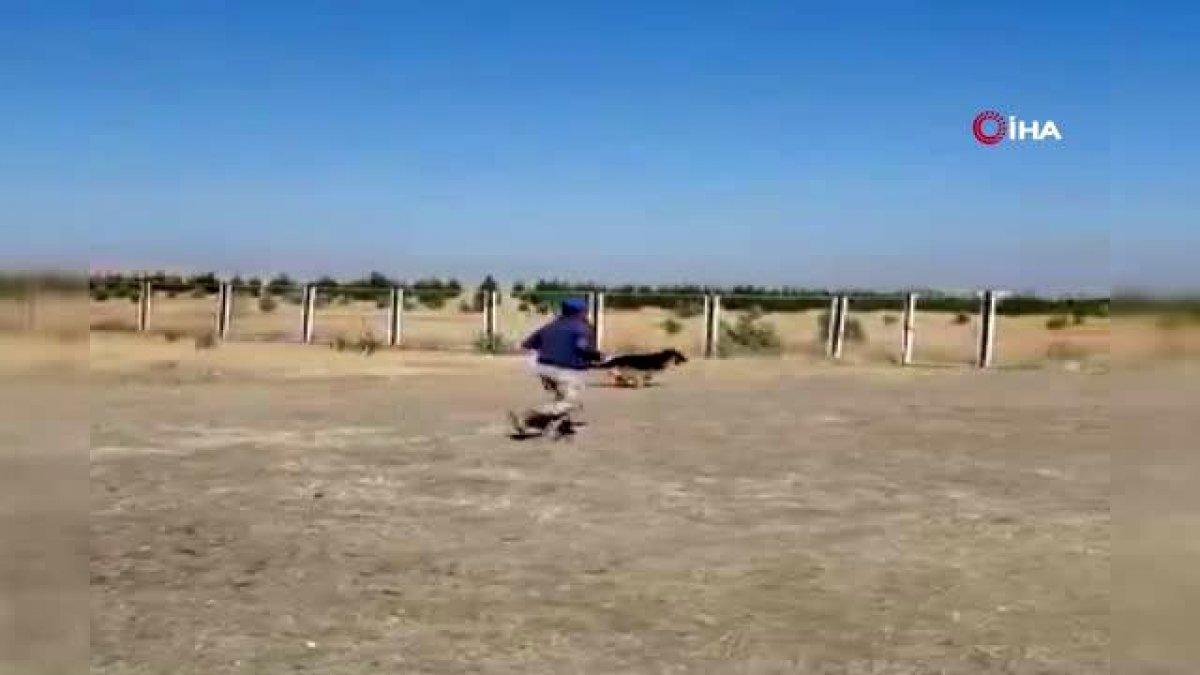 MSB’den 'Onlar bizim can dostumuz' paylaşımı