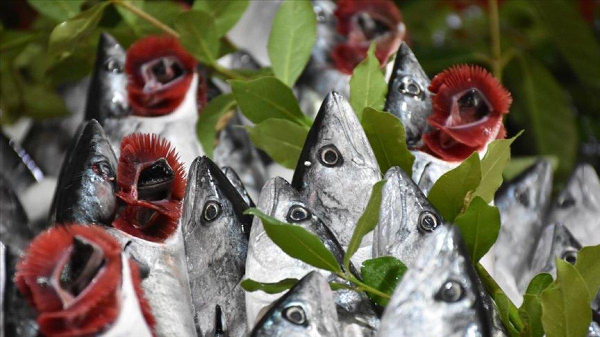 Su ürünleri ihracatında artış yaşanıyor