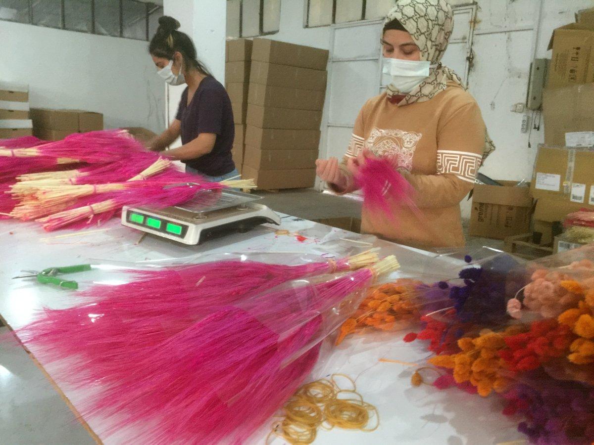 Toroslardan toplanan kurutulmuş çiçekler ihraç ediliyor