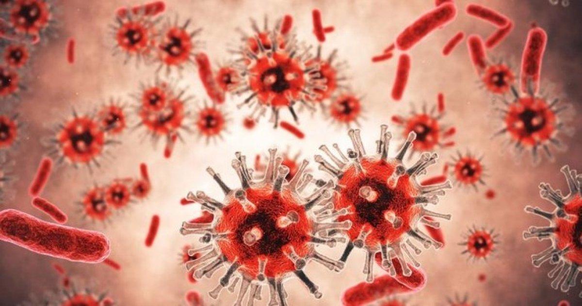 Sars virüsü nedir? Çin'de tekrar görülen Sars virüsü nasıl bulaşır? Belirtileri nelerdir?