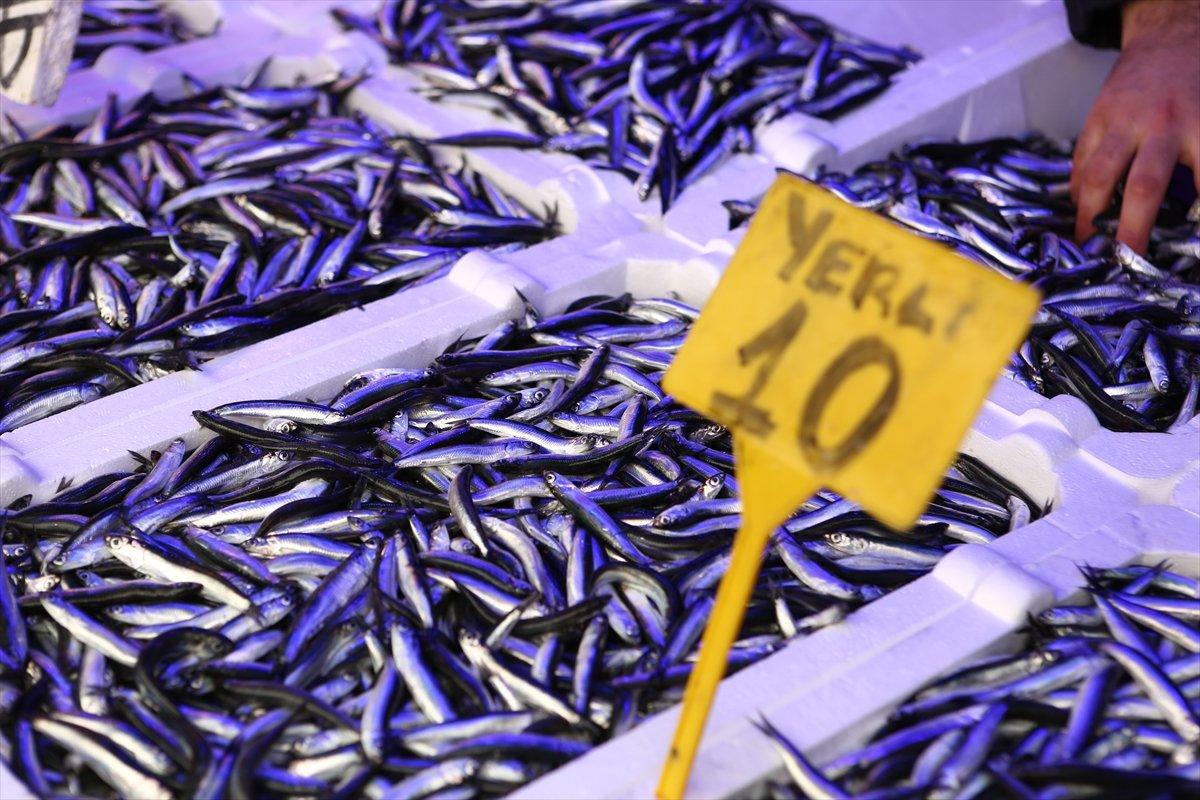Karadeniz'de hamsi bolluğu, yüzleri güldürdü