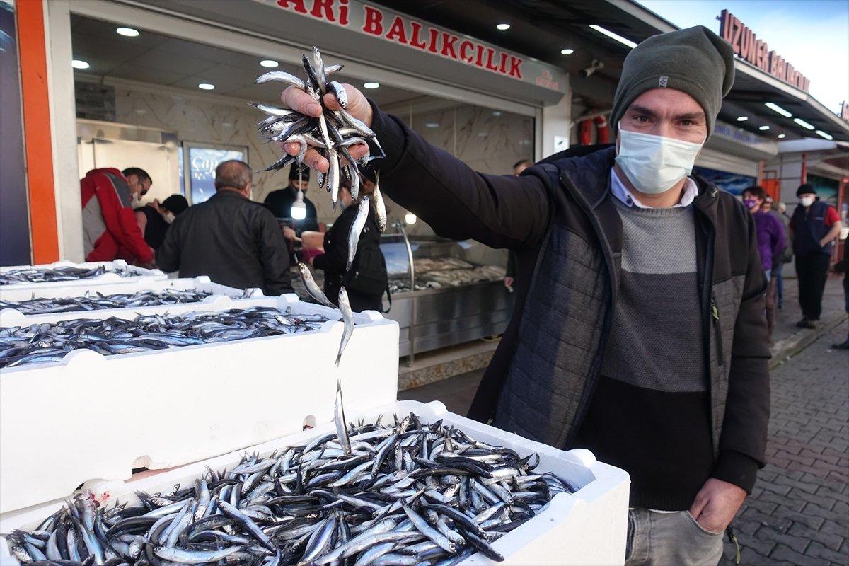 Artvin'de hamsinin kilosu 3 liraya satıldı