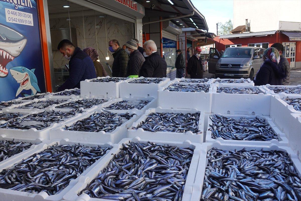 Artvin'de hamsinin kilosu 3 liraya satıldı