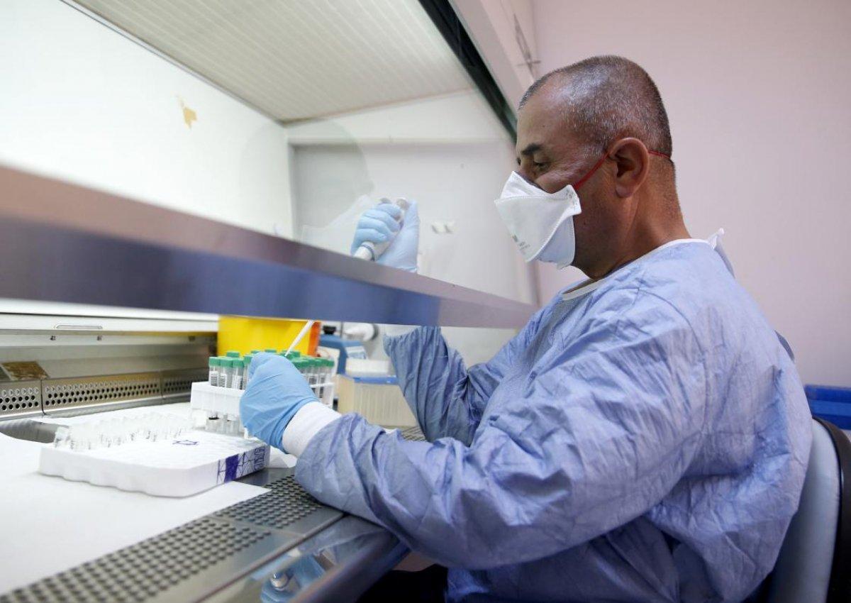 D614G mutasyonu nedir? Koronavirüsün mutasyona uğramış hali D614G ne anlama geliyor?