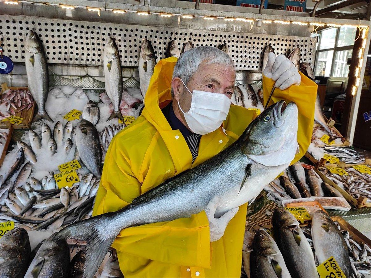 Kofana balığı bereketi başladı