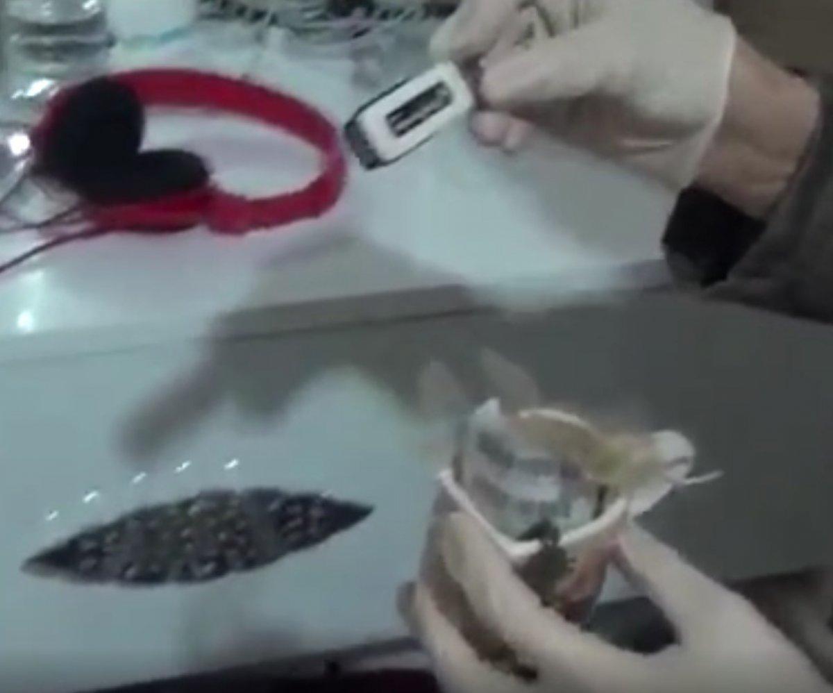 İstanbul'da terör örgütü PKK/KCK'ya yönelik operasyon