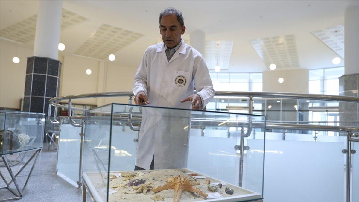 Türkiye'de elmas var