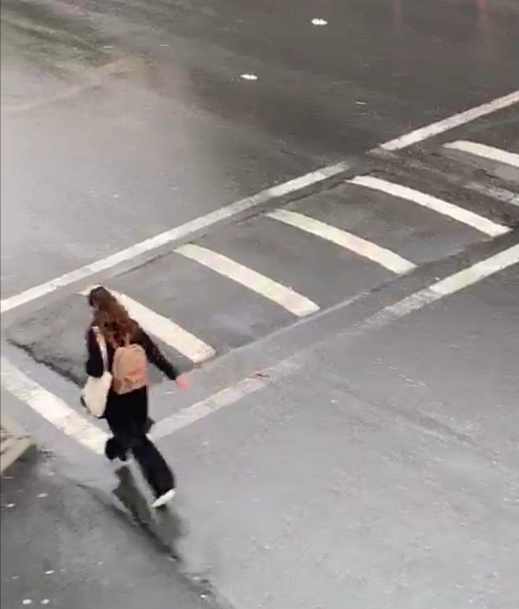 İstanbul'da sokak köpekleri, korku dolu anlar yaşattı