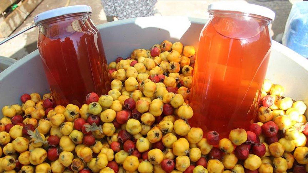 Kurutulmuş meyveye olan ilgi artarak devam ediyor