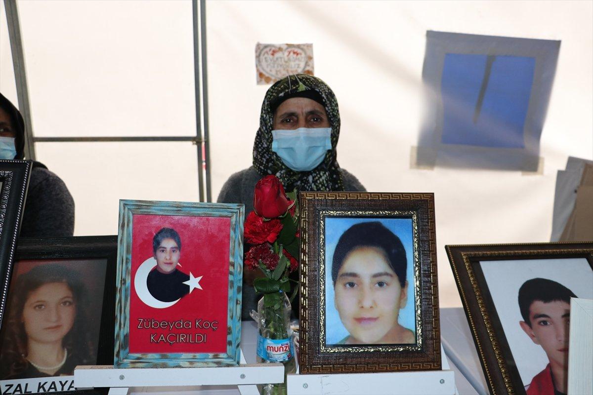 Diyarbakır Anneleri'nden Solmaz Öğrünç: Çocuğumu HDP'den istiyorum