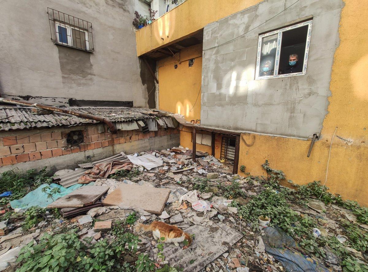 Eyüpsultan'da 4'ü yavru 7 kedi parçalanmış halde bulundu