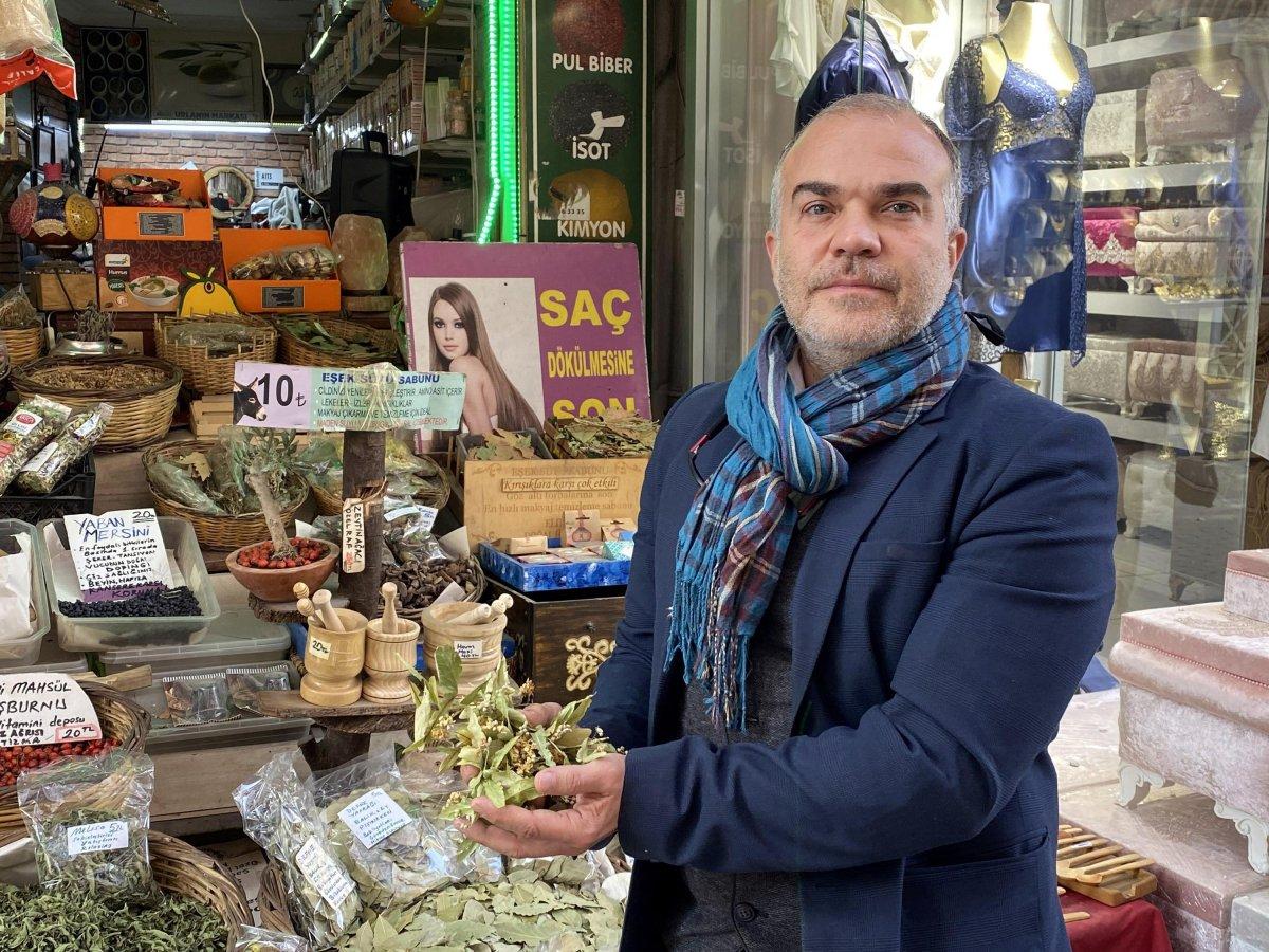 Ihlamurun fiyatı arttı