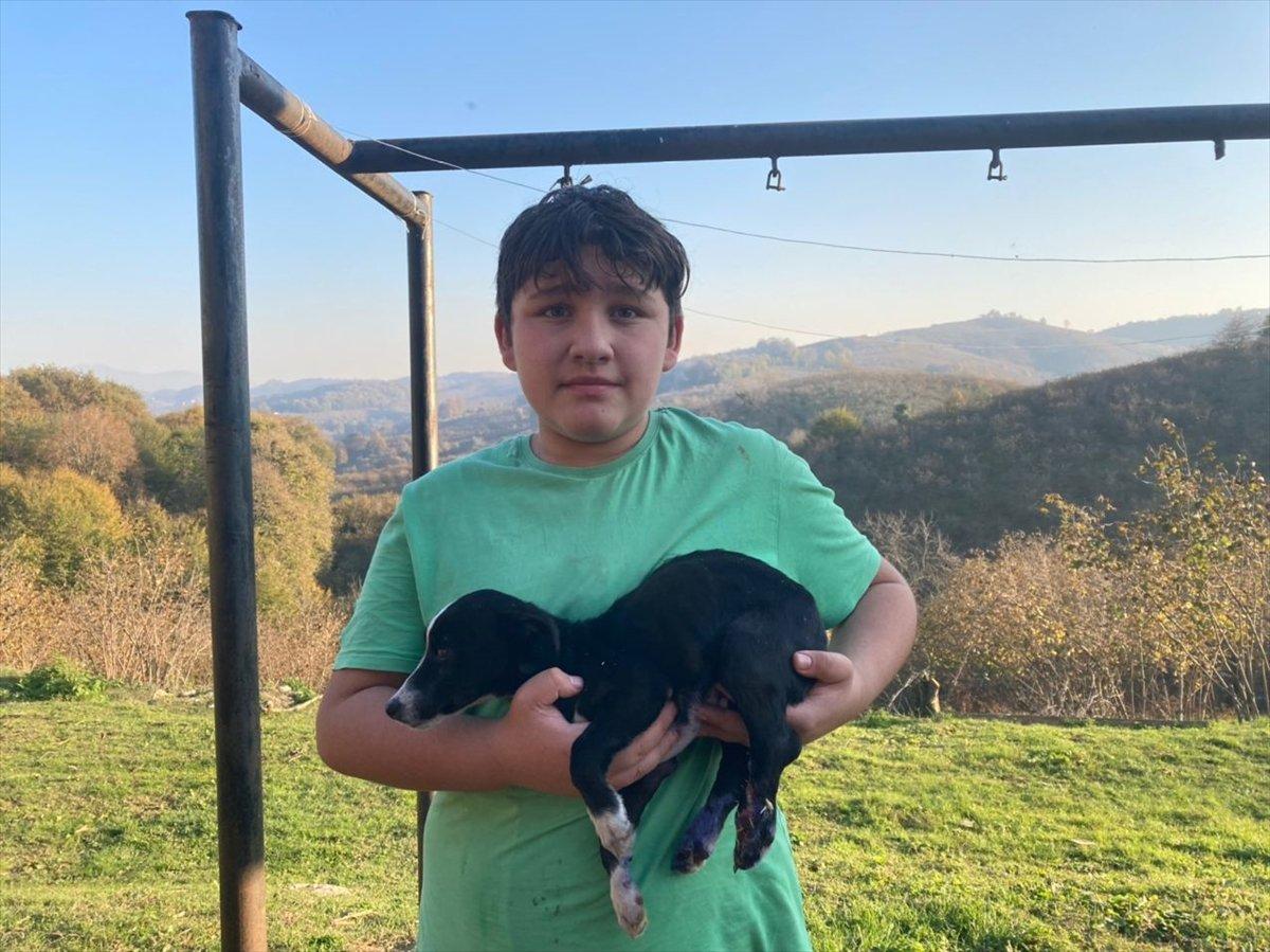 Sakarya'da otomobiliyle yavru köpeğe çarpıp kaçan sürücü