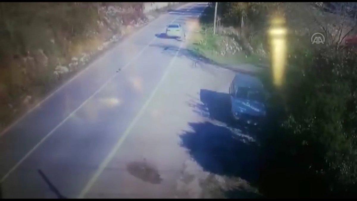 Sakarya'da otomobiliyle yavru köpeğe çarpıp kaçan sürücü