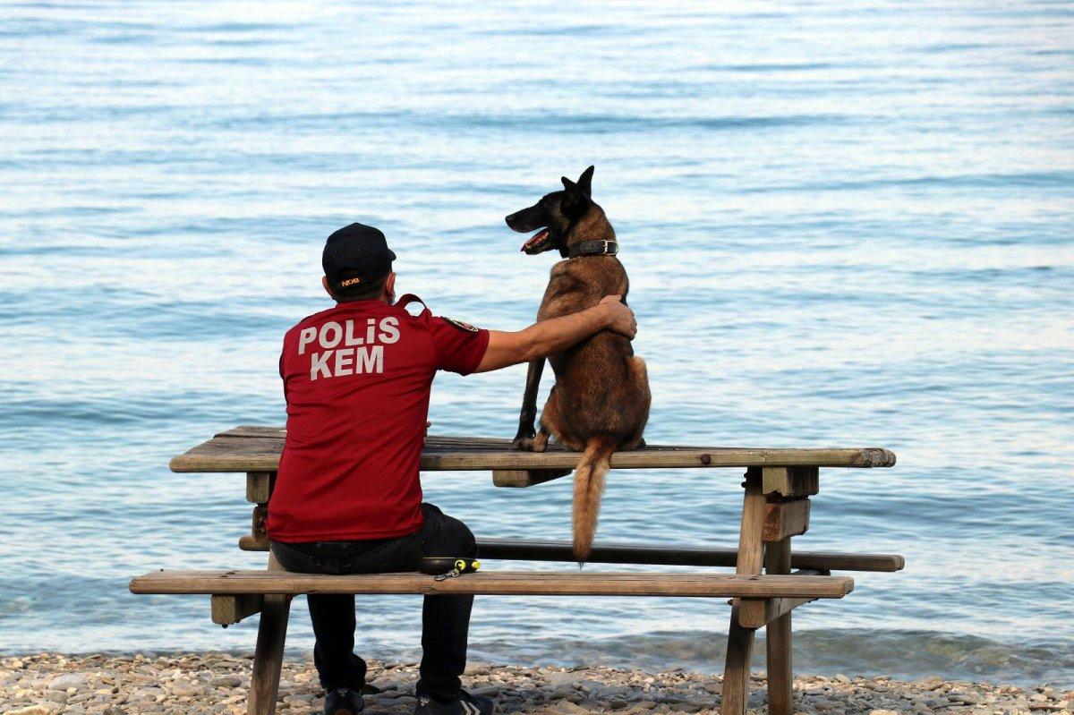 Narkotik köpeği Çayra emekli oldu