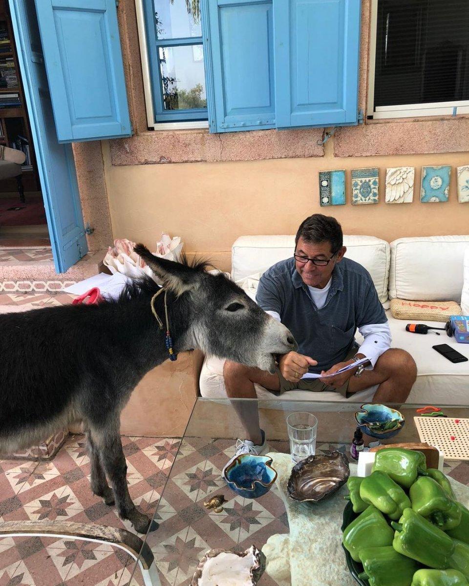 Cem Boyner'in sıpa sevinci