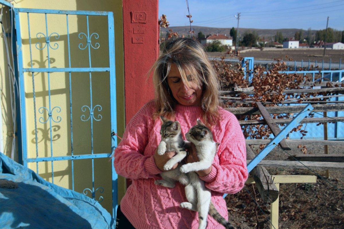 Sivas'ta evli çift, sokak hayvanları için bahçeli ev kiraladı