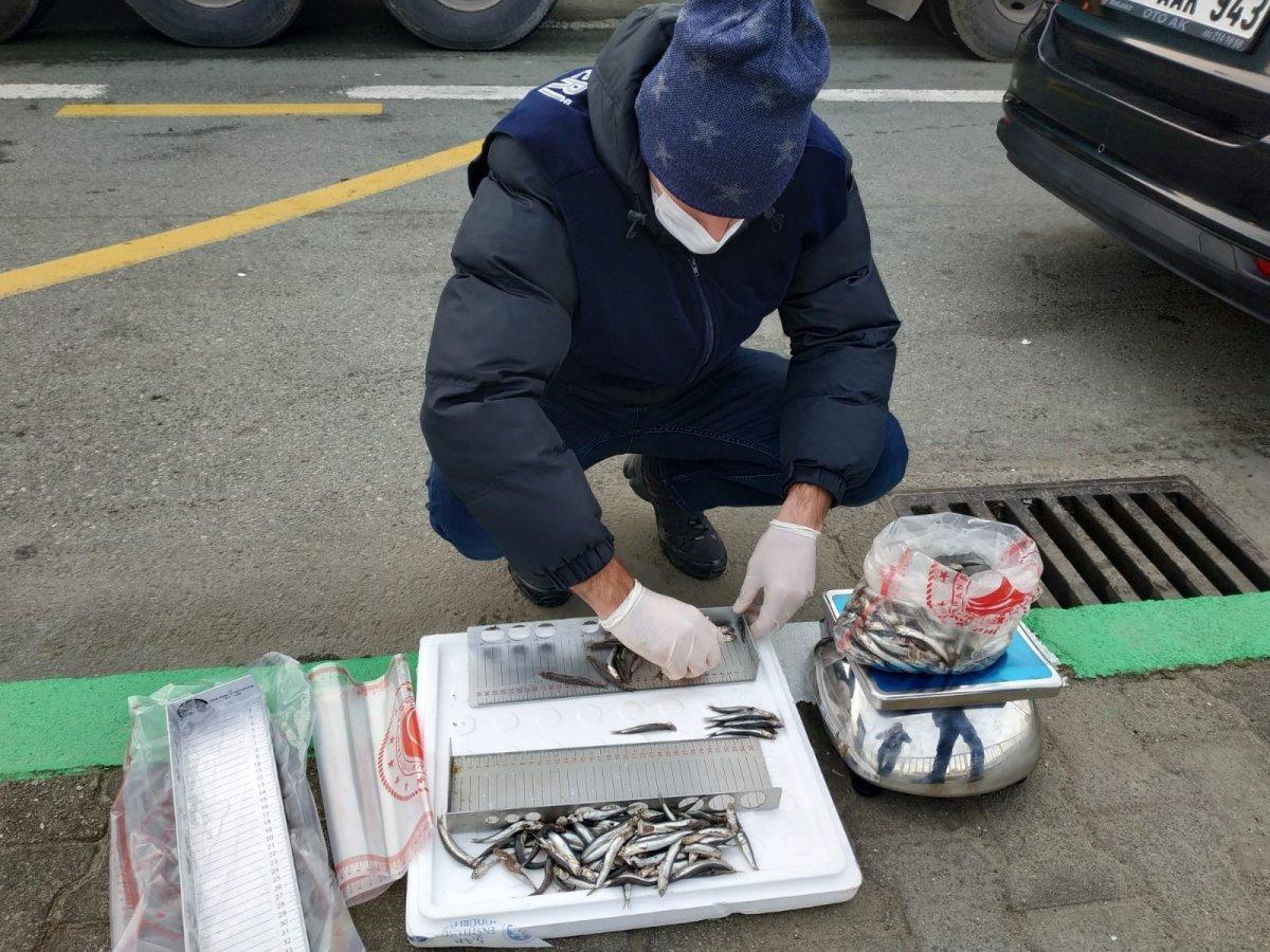 Rize'de 10 ton hamsiye el konuldu