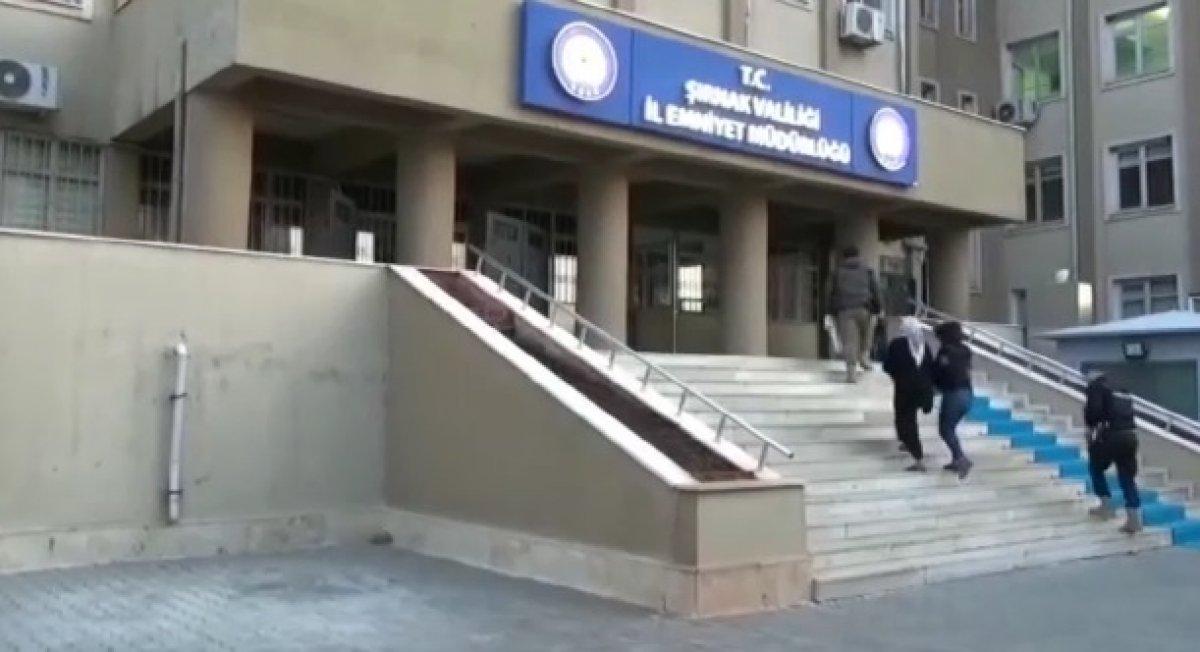 Şırnak'ta DTK'ya yönelik operasyon: 20 gözaltı