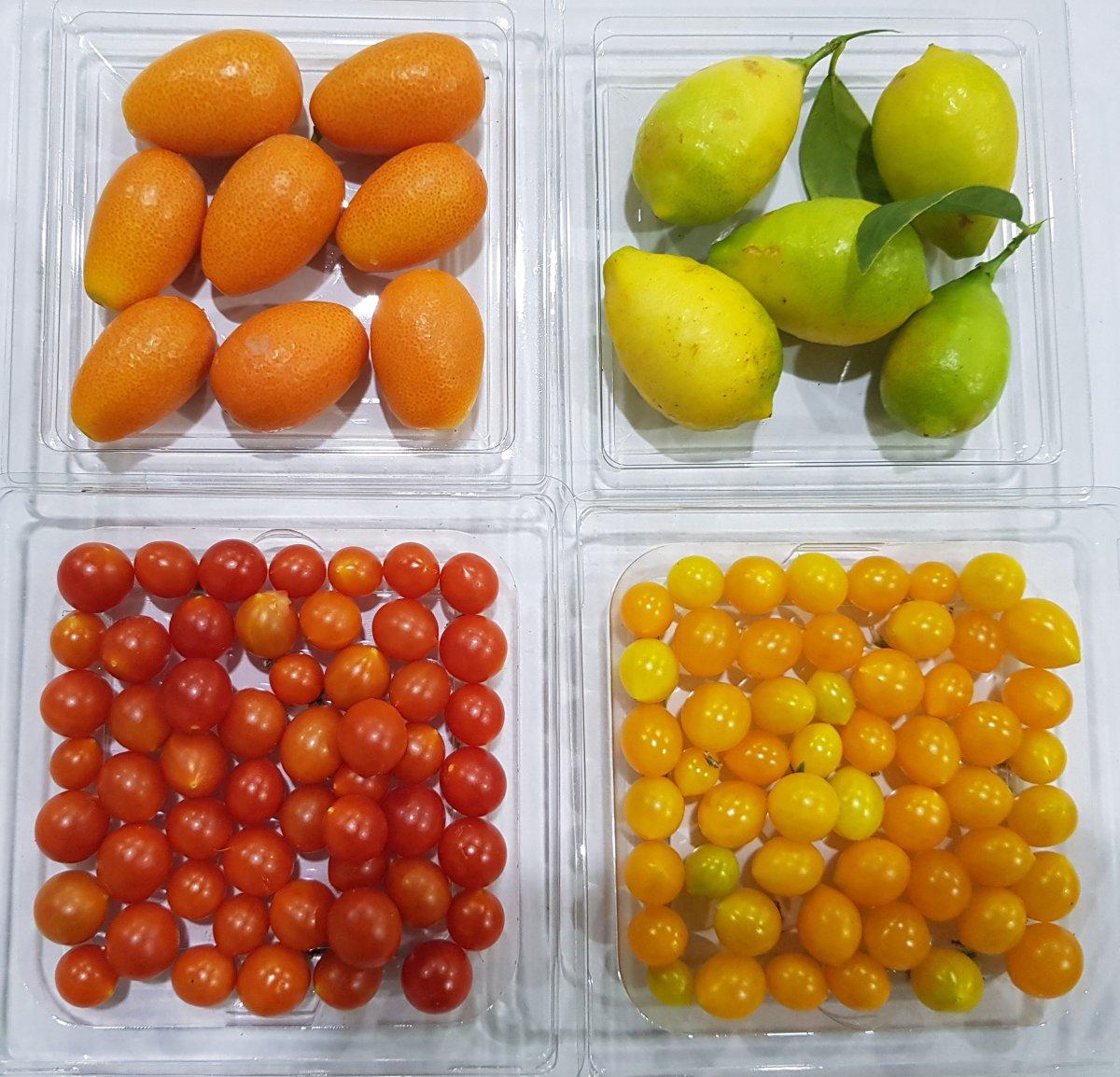 Koronavirüs mini sebzeye ilgili artırdı