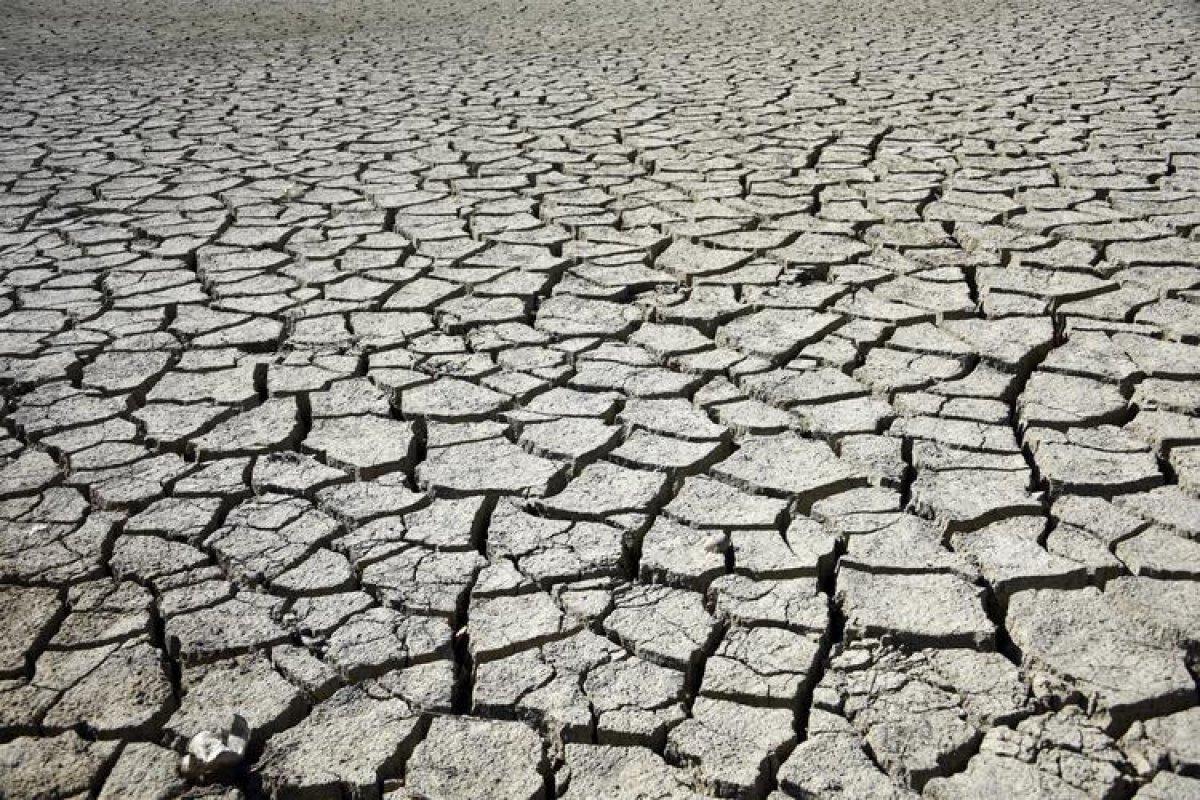 Türkiye'de yağmurun yokluğu barajları kuruttu