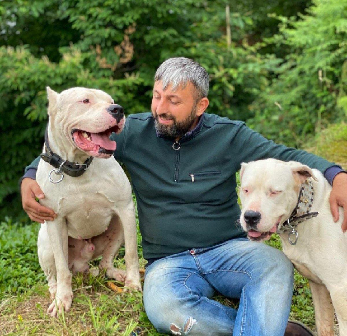 YouTuber Recep Bayraktar'ın köpeklerine el konuldu