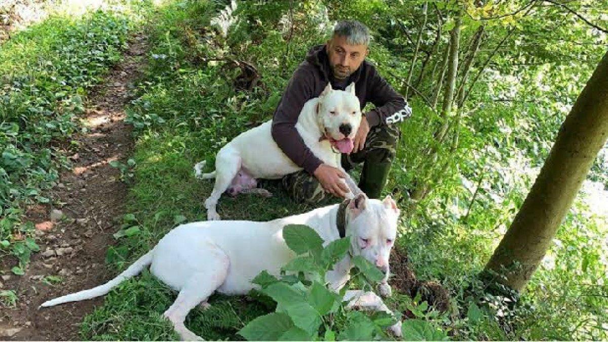 YouTuber Recep Bayraktar'ın köpeklerine el konuldu