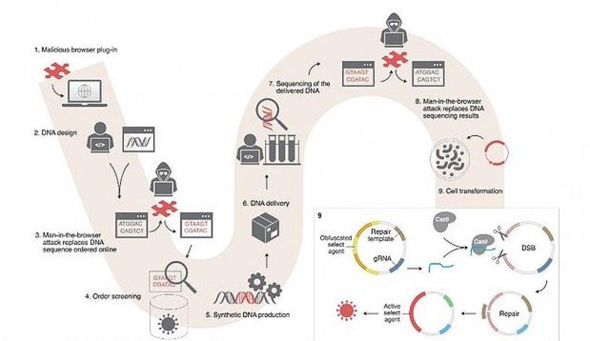Biyoteröristler, tehlikeli virüsler ortaya çıkarabilir uyarısı