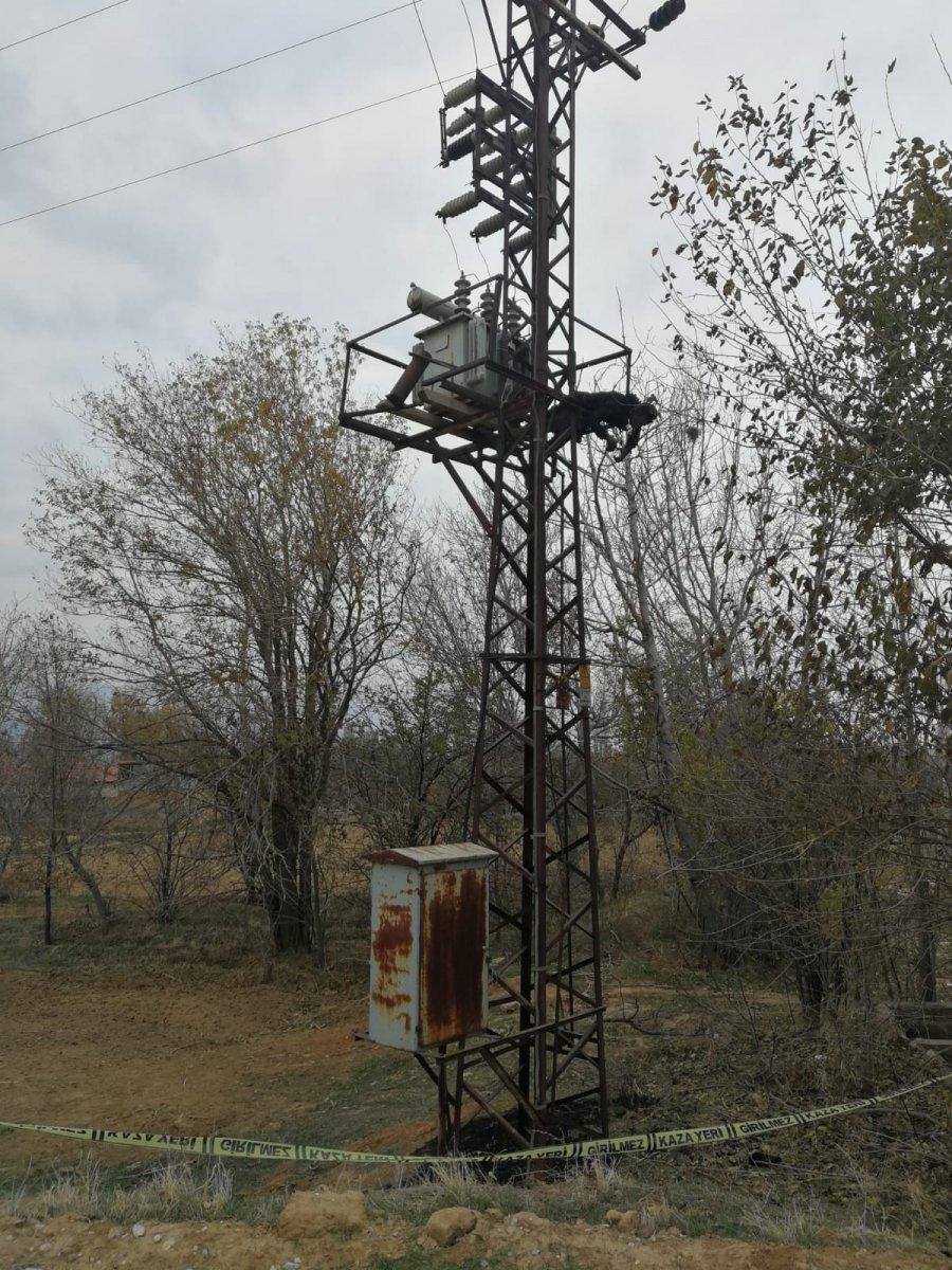 Afyonkarahisar'da trafo üzerinde yanmış halde bulundu