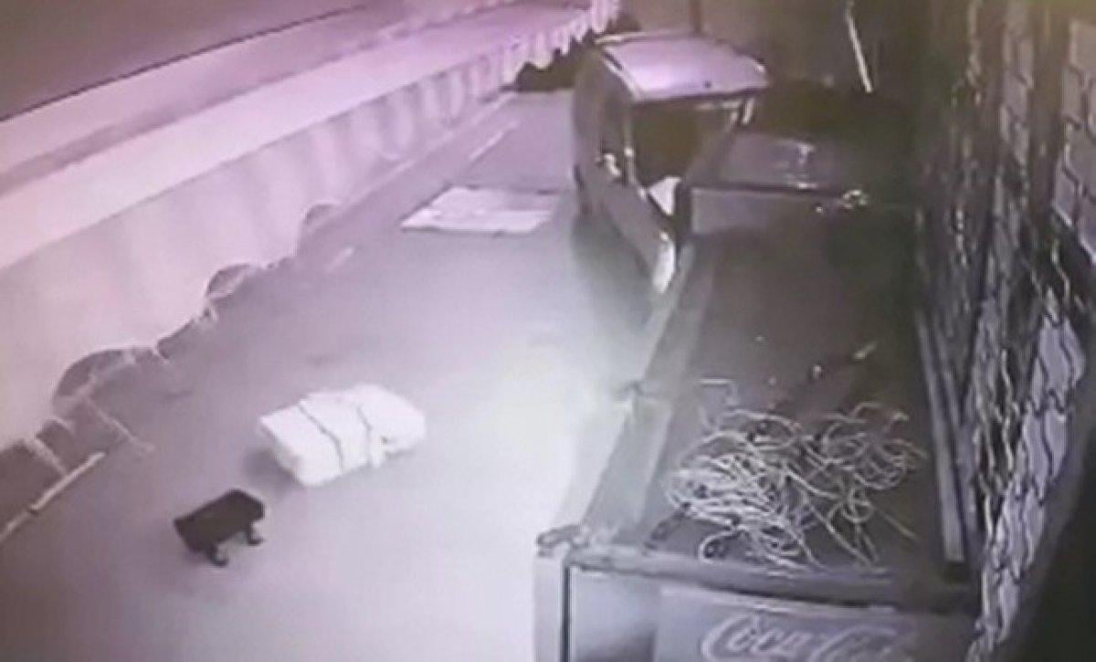 Bursa’da freni patlayan kamyonet markete daldı