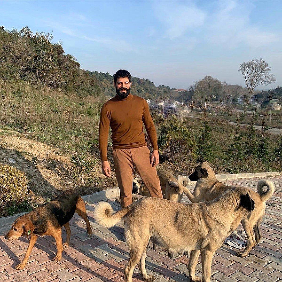 Burak Özçivit, sokak köpeklerini unutmadı
