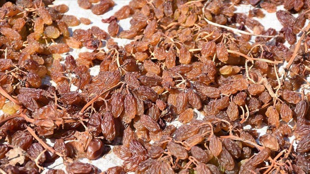 Kurutulmuş meyveye olan ilgi artarak devam ediyor