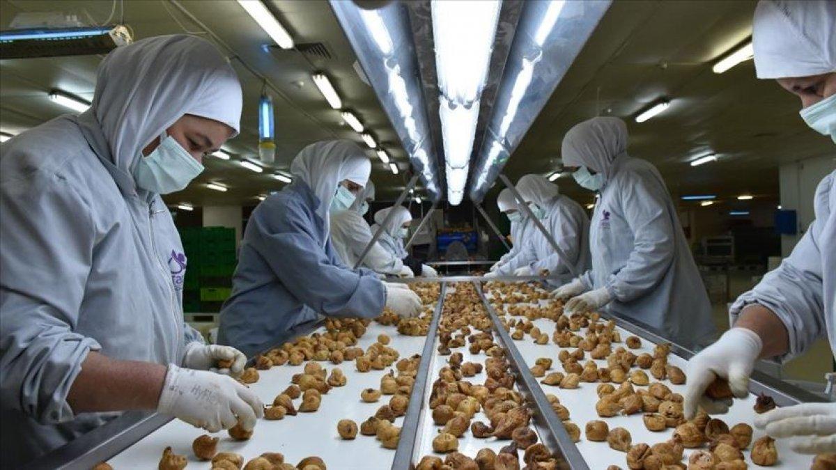 Kurutulmuş meyveye olan ilgi artarak devam ediyor