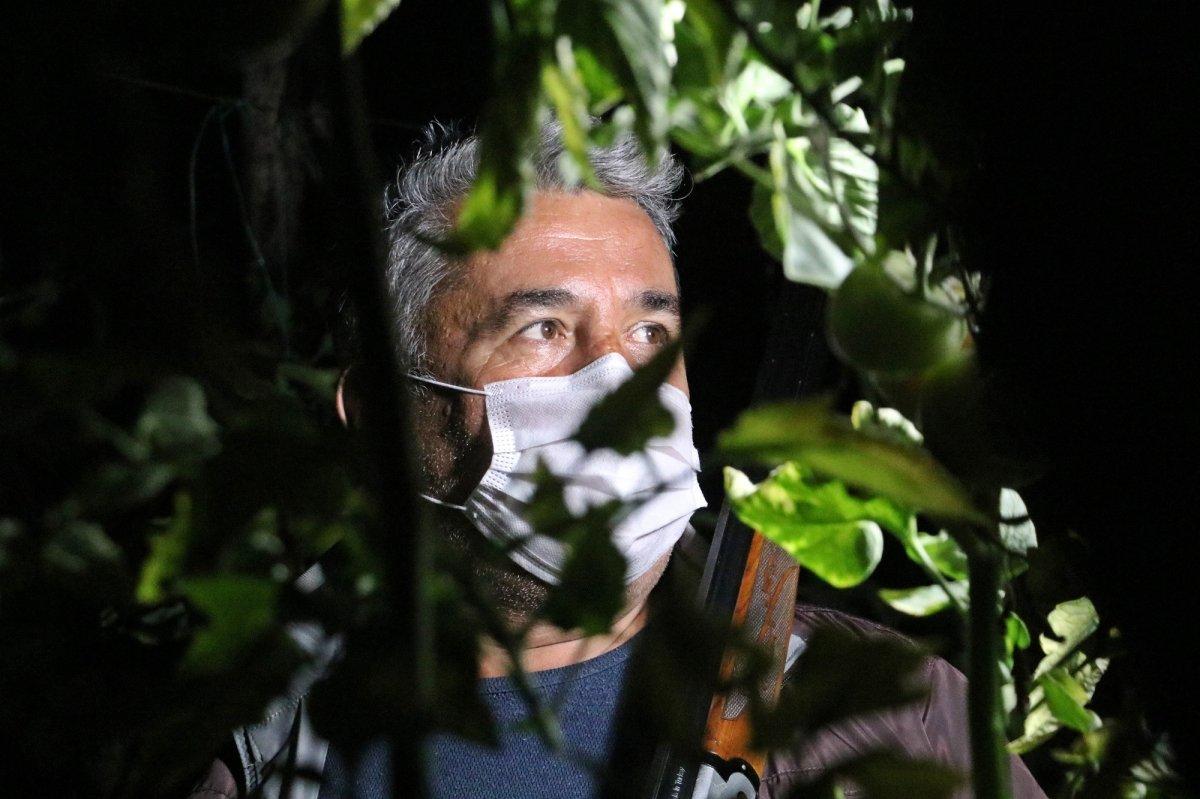 Antalya’da çiftçiler domates hırsızlarına karşı gece nöbeti tutuyor