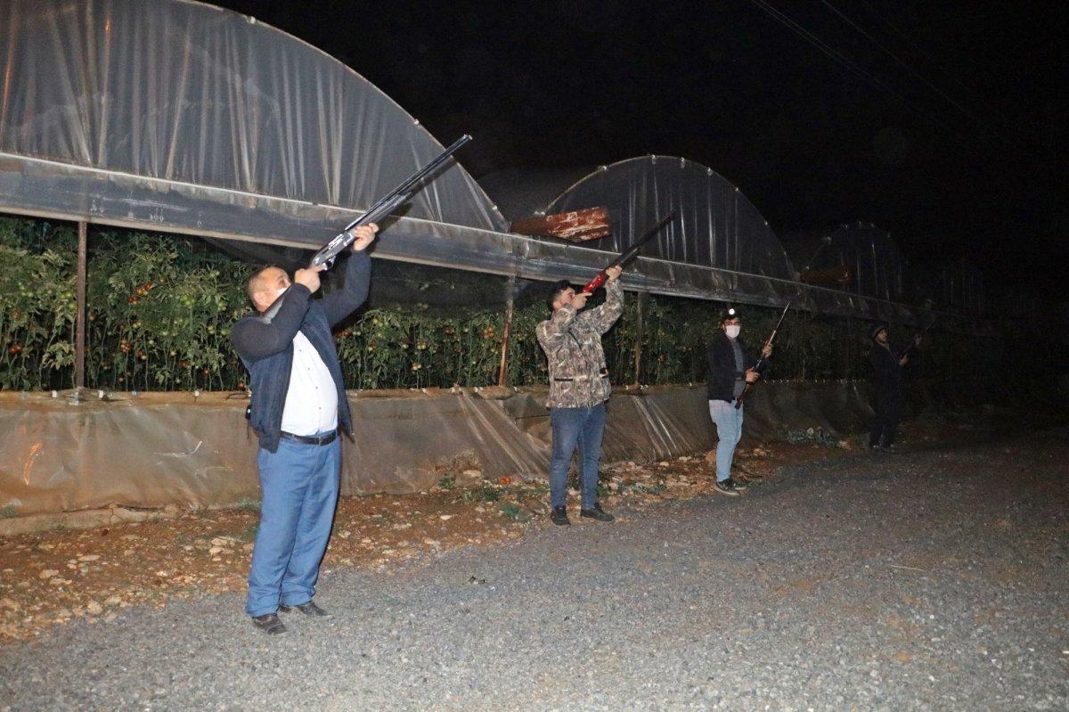 Antalya’da çiftçiler domates hırsızlarına karşı gece nöbeti tutuyor