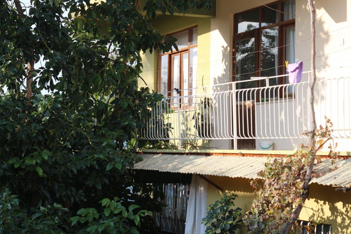 Antalya'da avokado ağacını düzeltmek isterken canından oluyordu